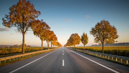 Serene Autumn Highway View for Nature Lovers wallpaper
