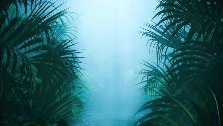 Mystical Jungle Serenity by the Water wallpaper
