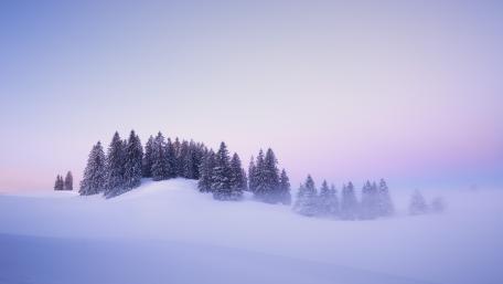 Enchanted Winter Wonderland wallpaper