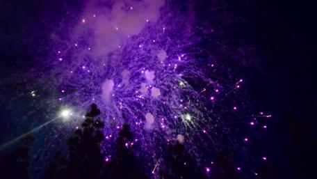 Vibrant Purple Fireworks Display in Night Sky wallpaper