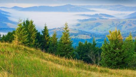 Serene Mountain Landscape at Dawn wallpaper