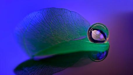Glistening Water Droplet on Leaf Surface wallpaper
