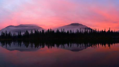 Serene Pink Reflections in Nature wallpaper
