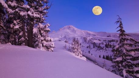 Winter's Serene Full Moon Night wallpaper