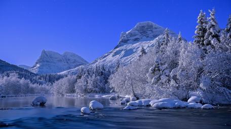 Winter's Tranquil Blue Serenity wallpaper