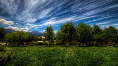 Vibrant Meadow Under a Scenic Sky wallpaper