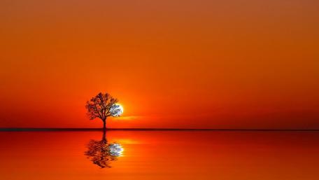 Golden Horizons at Sunset wallpaper