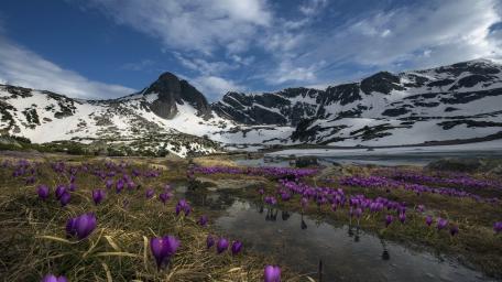 Serenity of Springtime in the Mountains wallpaper