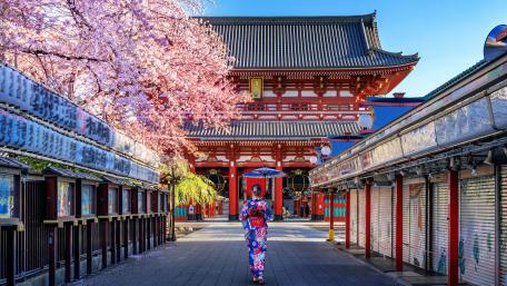 Blossoming Serenity in Tokyo's Historic Temple wallpaper
