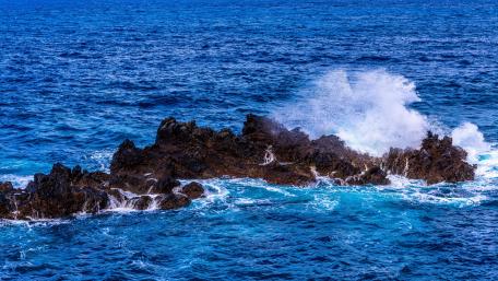 Sea wallpaper