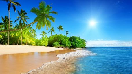 Tropical Paradise Under a Sunny Sky wallpaper