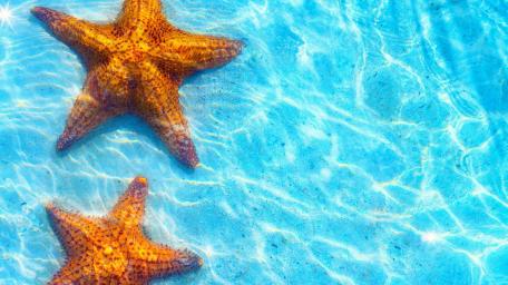 Beneath the Surface of Tranquil Waters wallpaper