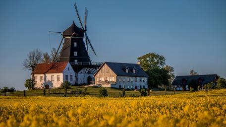Kronetorp's mill wallpaper