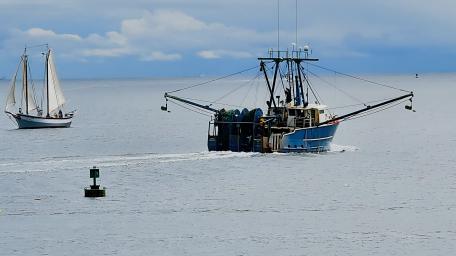 Fishing Vessels at Work in Tranquil Waters wallpaper