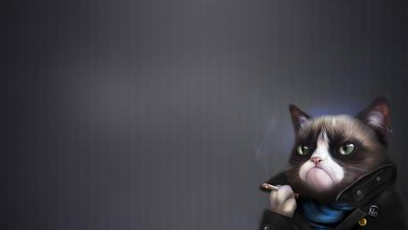 Grumpy Cat Goes Undercover in Style wallpaper