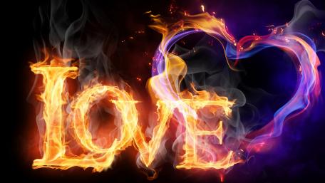 Blazing Affection in Fiery Hues wallpaper