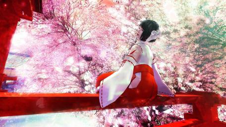 Dreamy Sakura Serenity in Anime Spring wallpaper