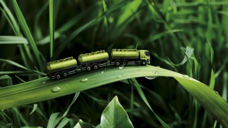 Emerald Voyage Through Nature's Trails wallpaper