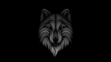 Symmetrical Wolf Head on Black Background wallpaper
