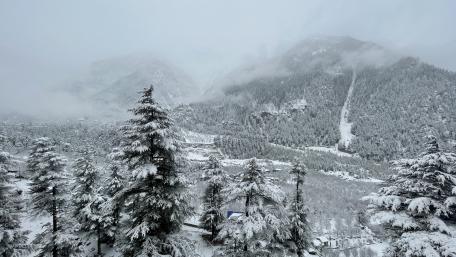 Mountain's wallpaper