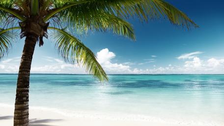 Tropical Beach Paradise in Summer wallpaper