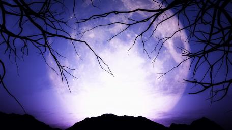 Purple full moon wallpaper