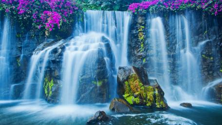 Majestic Waterfall with Blooming Beauty in 8K wallpaper