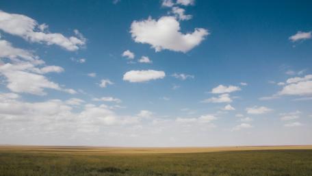 Endless Horizons of Tranquil Fields wallpaper