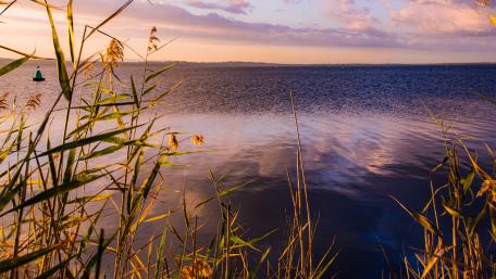 Golden Sunset Over Serene Lake wallpaper