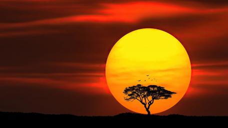 Golden Sunset Fantasy Silhouette wallpaper