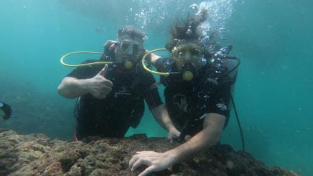 Underwater Adventure in Kish Island wallpaper