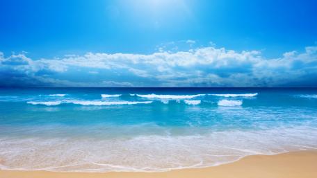 Serene Beach Under a Clear Blue Sky wallpaper