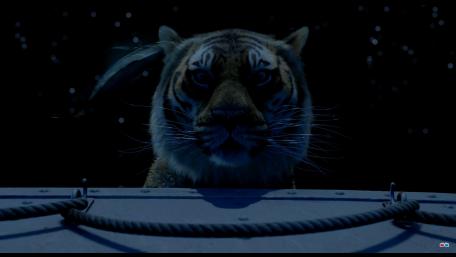 tiger wallpaper