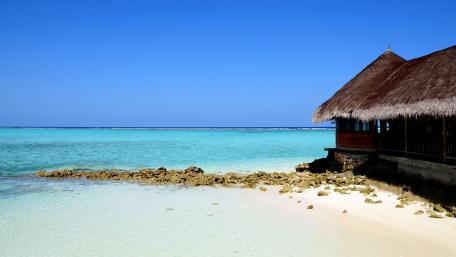 Tropical Escape to Serenity wallpaper