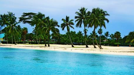 Tropical Paradise By The Shore wallpaper