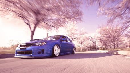 Blossoming Drive with Subaru wallpaper