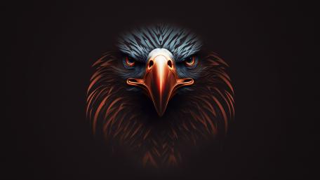 Majestic Eagle Gaze in Darkness wallpaper
