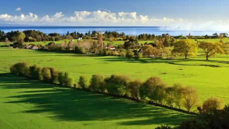 Lush Green Plains Under Tranquil Skies wallpaper