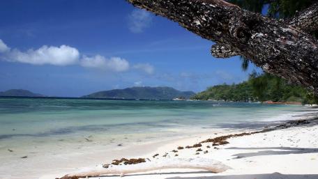 Tranquil Beach Paradise with Blue Waters and Lush Greenery wallpaper