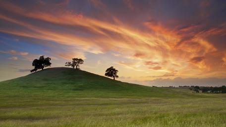 Serene Sunset Over Rolling Hillside wallpaper