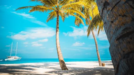 Tropical Paradise Awaits You wallpaper