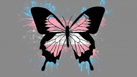 Special butterfly wallpaper