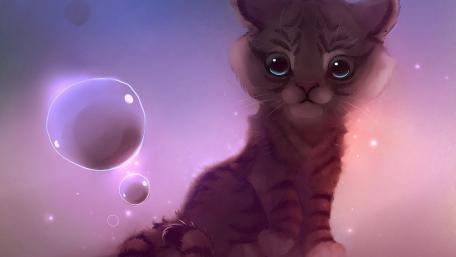 Charming Kitten Among Bubbles wallpaper