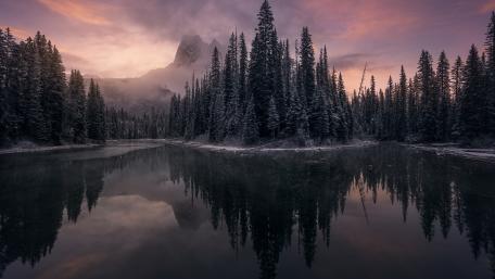 Winter Sunrise Over Pine Forest Reflection in Tranquil Water wallpaper