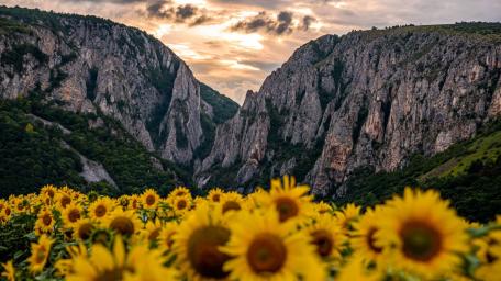 Cheile Turzii wallpaper