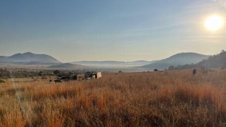 Safari ride in South African National Park wallpaper