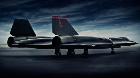 Majestic Blackbird in the Twilight Sky wallpaper