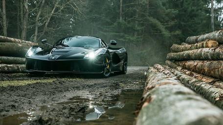 Sleek Ferrari Amidst Nature's Beauty wallpaper