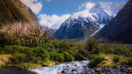 Milford Sound / Piopiotahi wallpaper