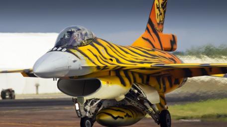 Fighter Jet with Striking Tiger Paint Scheme wallpaper